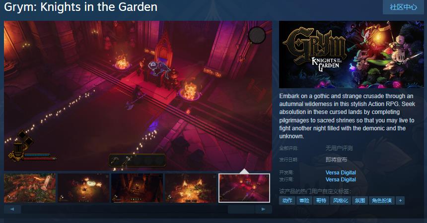 Steam页面上的rym不支持中文显示