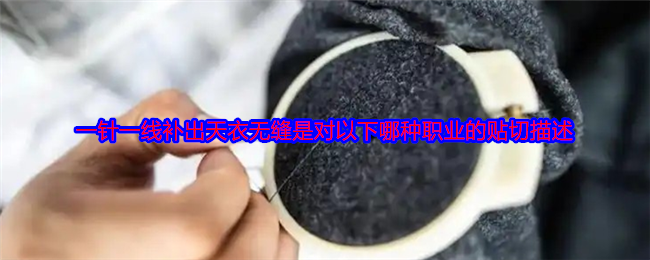 《支付宝》一针一线打造完美无瑕：哪种职业最贴切描述？