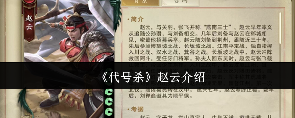 《代号杀》明星英雄赵云详细解析