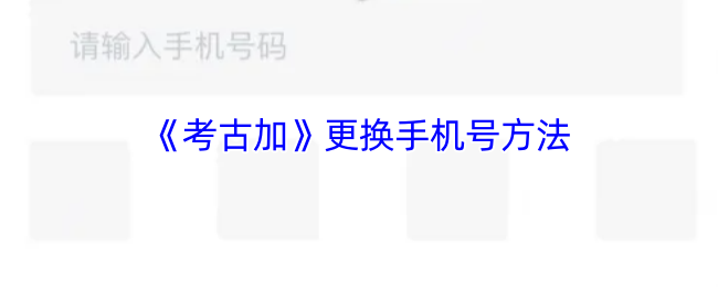 《灰豚数据》更换手机号码的详细步骤指南