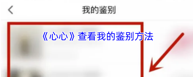 《心心美妆》新标题: 探索我的判断技巧