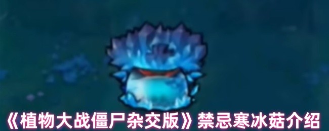 《植物大战僵尸杂交版》禁忌寒冰菇全面解析