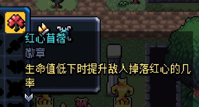 红心苜蓿