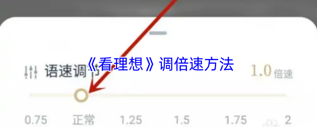 《看理想》提升游戏速度的技巧解析