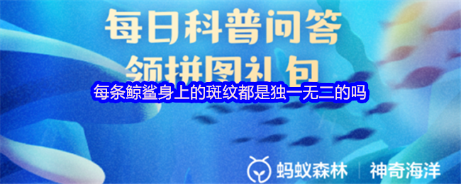 《支付宝》每条鲸鲨的斑纹都是独特的吗？