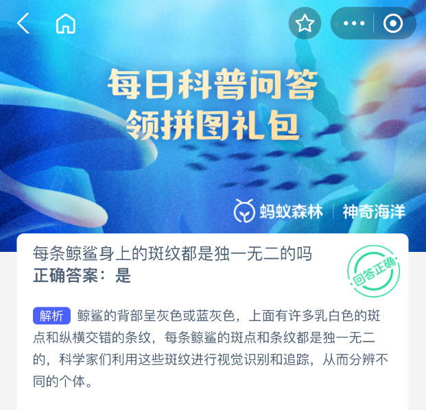 鲸鲨图像