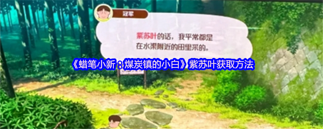 《蜡笔小新：煤炭镇的小白》紫苏叶的获取途径详解