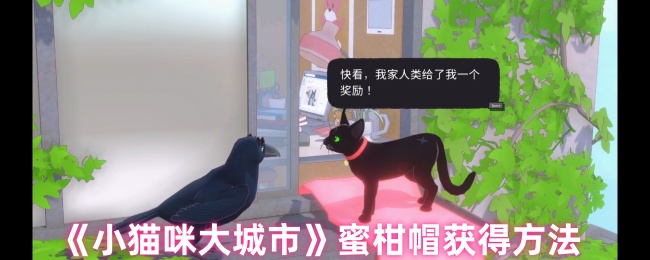 《小猫咪大城市》蜜柑帽获取攻略详解