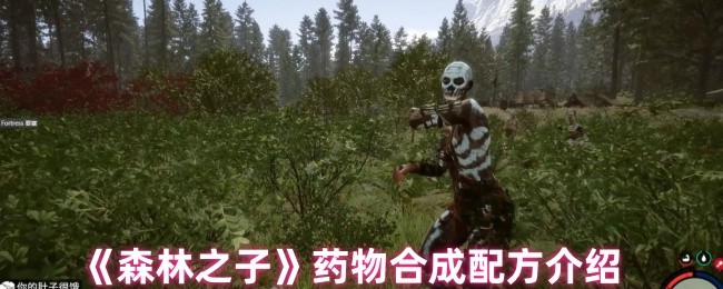 《森林之子》药物合成配方详解