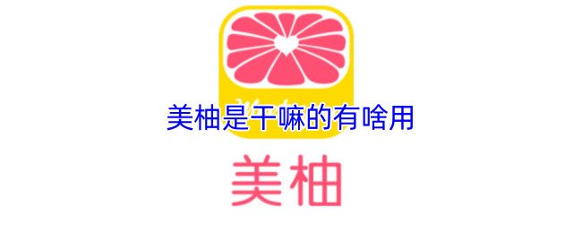 《美柚》美柚的功能与用途解析