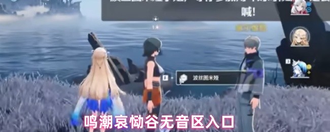 《鸣潮》鸣潮哀恸谷静默区域入口解析