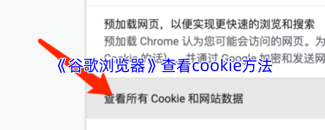 《谷歌浏览器》优化cookie使用技巧指南