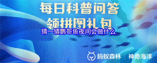 《支付宝》鹦哥鱼夜间活动揭秘