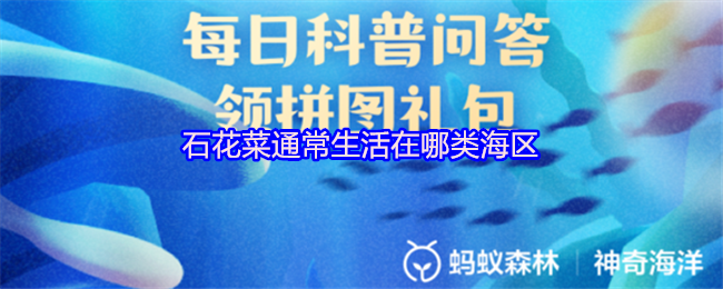 《支付宝》石花菜的栖息环境及分布区域解析