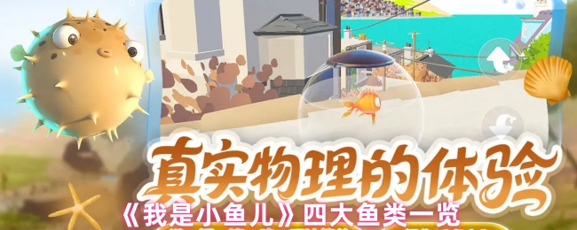 《我是小鱼儿》四种热门鱼类全面解析