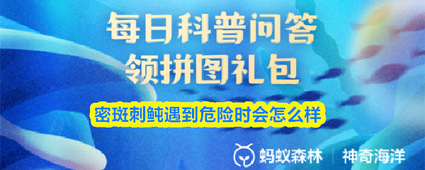 《支付宝》密斑刺鲀遇险时的反应与应对方式