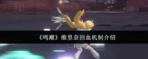 《鸣潮》维里奈回血机制详解