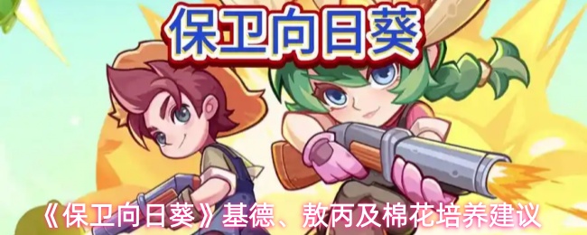 《保卫向日葵》基德、敖丙与棉花角色培养指南